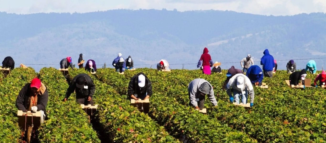 Παρατείνεται για 90 μέρες η προσωρινή απασχόληση των εργατών γης